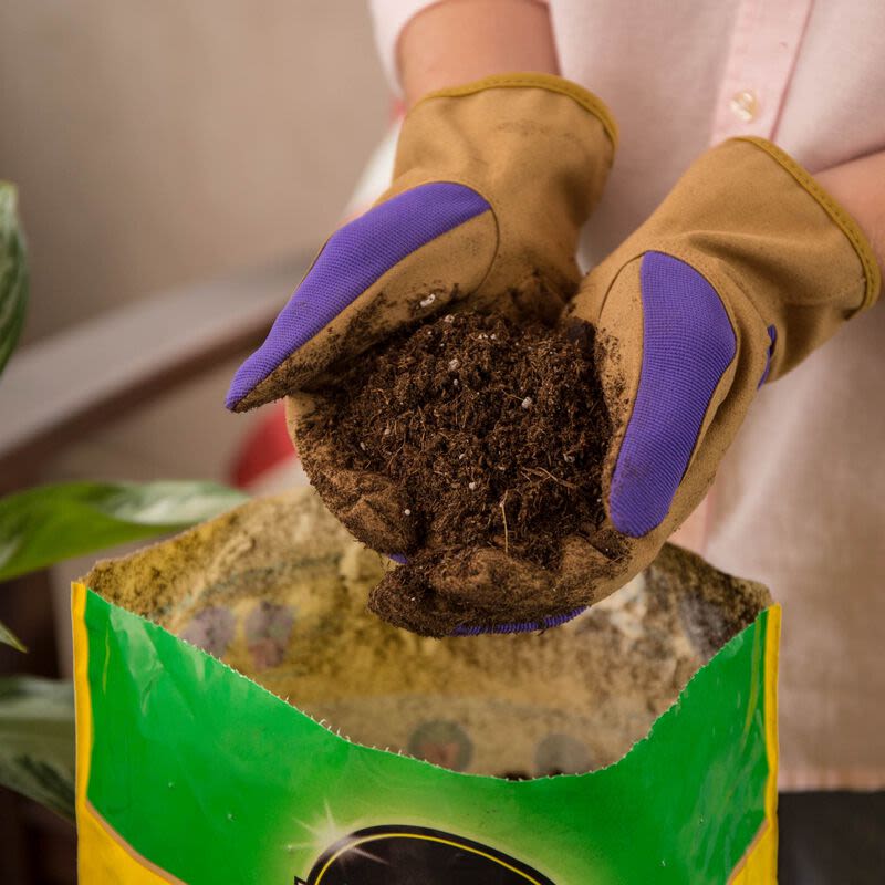 Hands in gardening gloves holding rich soil mix over open bag in indoor gardening and lawn care setup