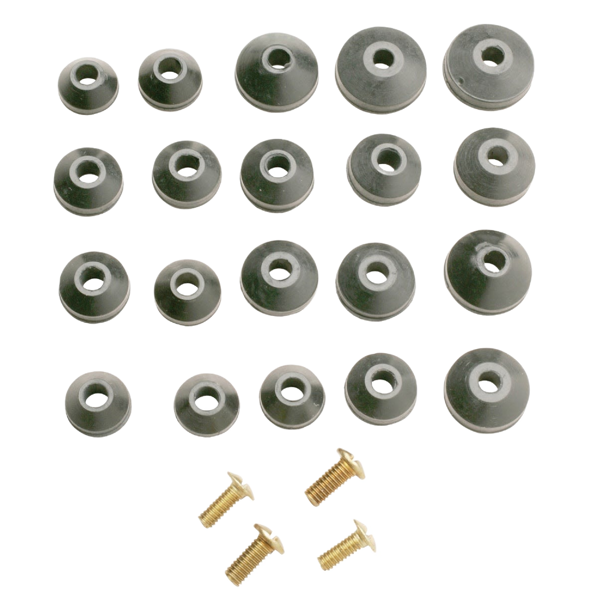 Assortment of beveled neoprene washers and screws for plumbing parts and faucet repair in home improvement projects