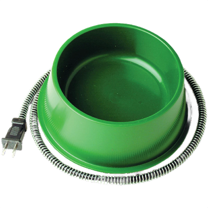 Green plastic heated pet bowl with attached power cord designed for indoor use and pet comfort
