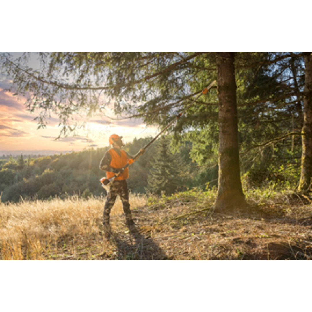 Worker wearing protective gear using STIHL HT 135 telescoping pole pruner to trim high tree branches outdoors