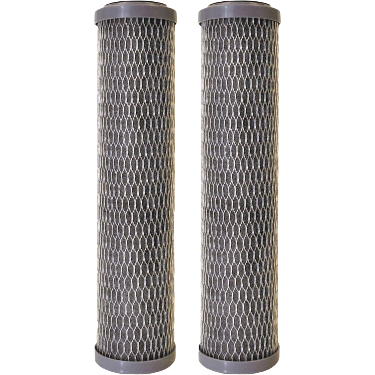 Two cylindrical water filtration cartridges with gray mesh exterior for whole house home improvement use
