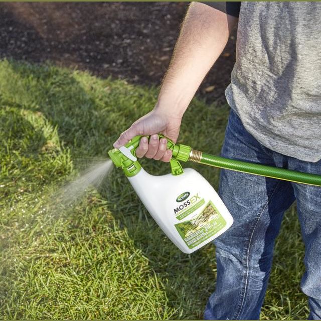 Person using Scotts MossEX 3-in-1 spray attachment on garden hose to treat lawn in home improvement setting