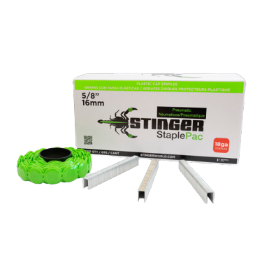 Box of green plastic-capped 18-gauge staples with loose staples displayed for hardware and fasteners collections