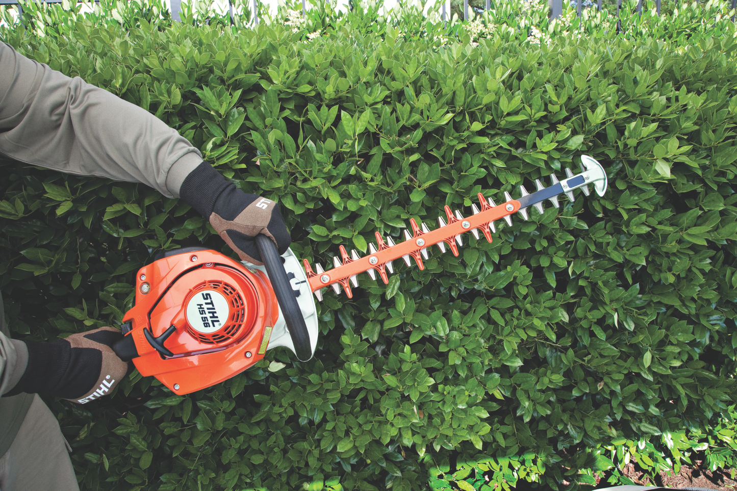 Person wearing gloves using an orange lightweight hedge trimmer to trim a dense green hedge for home improvement tasks