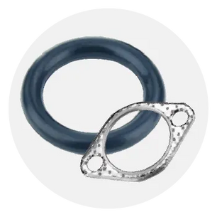 Circular rubber gasket next to a metal flange with two bolt holes, components typically used in plumbing or mechanical assemblies against a white background.