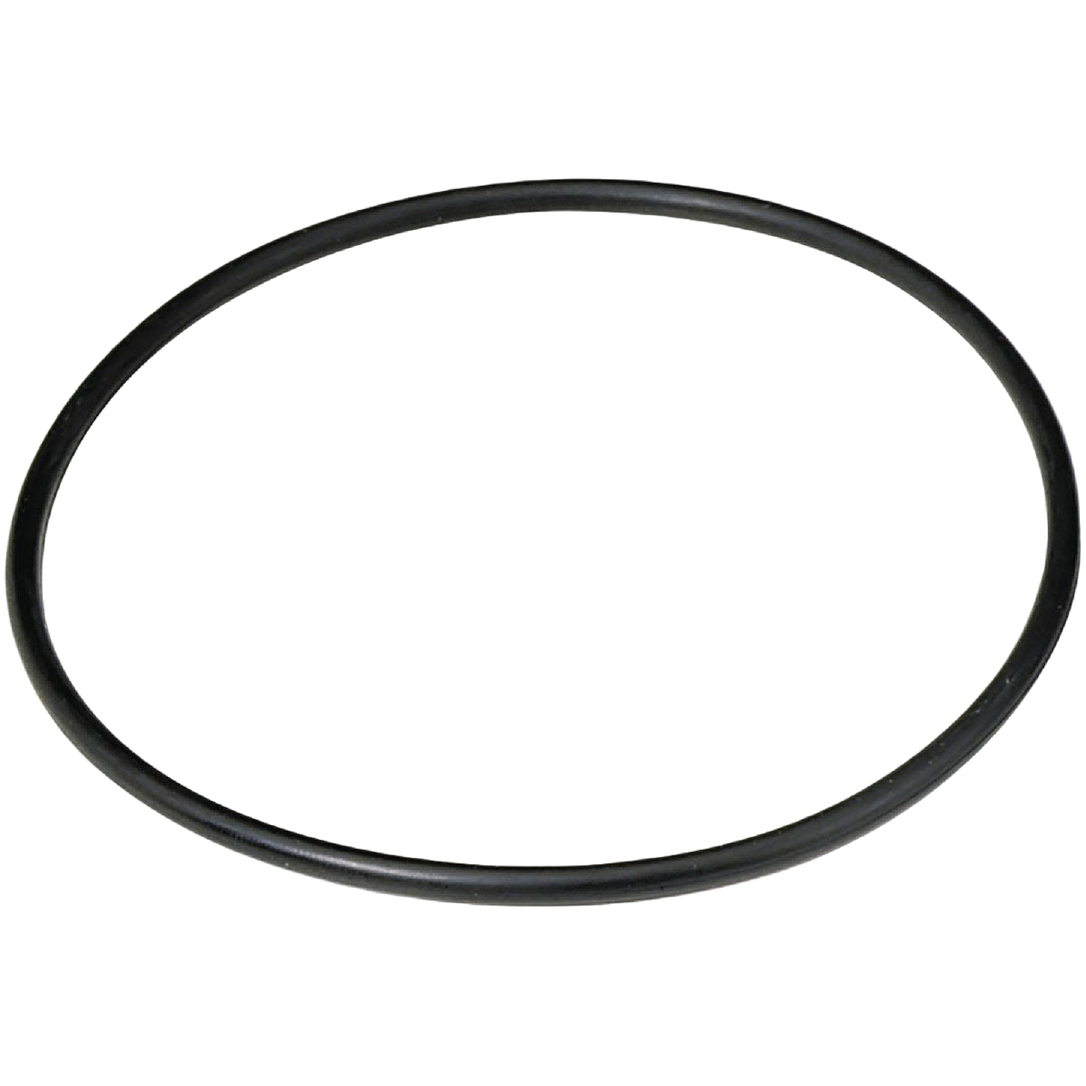 Culligan Replacement 3/4 in. Water Filter O-Ring 2-Pack – Hartville ...