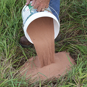 White plastic bucket pouring reddish mineral supplement powder onto grassy outdoor ground for wildlife use