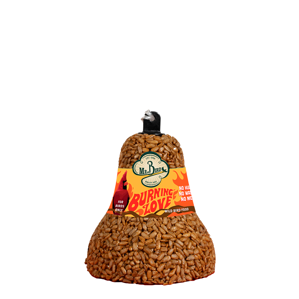 Cone-shaped bird seed bell with flame design label for outdoor bird feeding and wildlife care