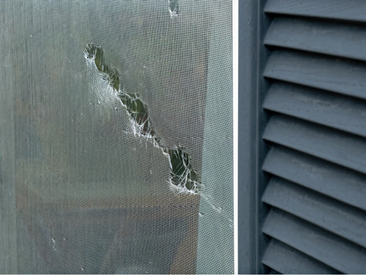 Close-up of a damaged window screen with a large tear beside a gray exterior shutter, illustrating a home repair need.