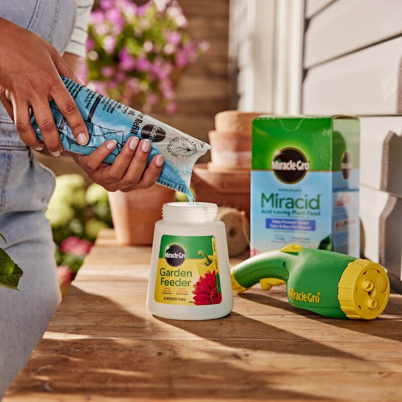 Person pouring water soluble plant food into a garden feeder with Miracle-Gro Miracid box nearby in lawn and garden setting