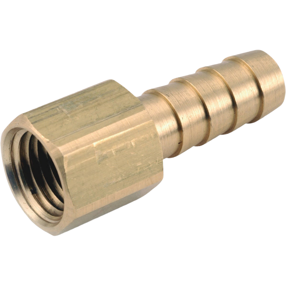 Brass hose barb fitting with 1/2 inch female pipe thread for plumbing and galvanized pipe connections under $50 collections