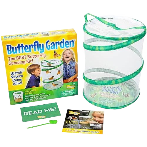 Insect Lore Butterfly Garden Kit – Watch Butterflies Grow! – Hartville ...