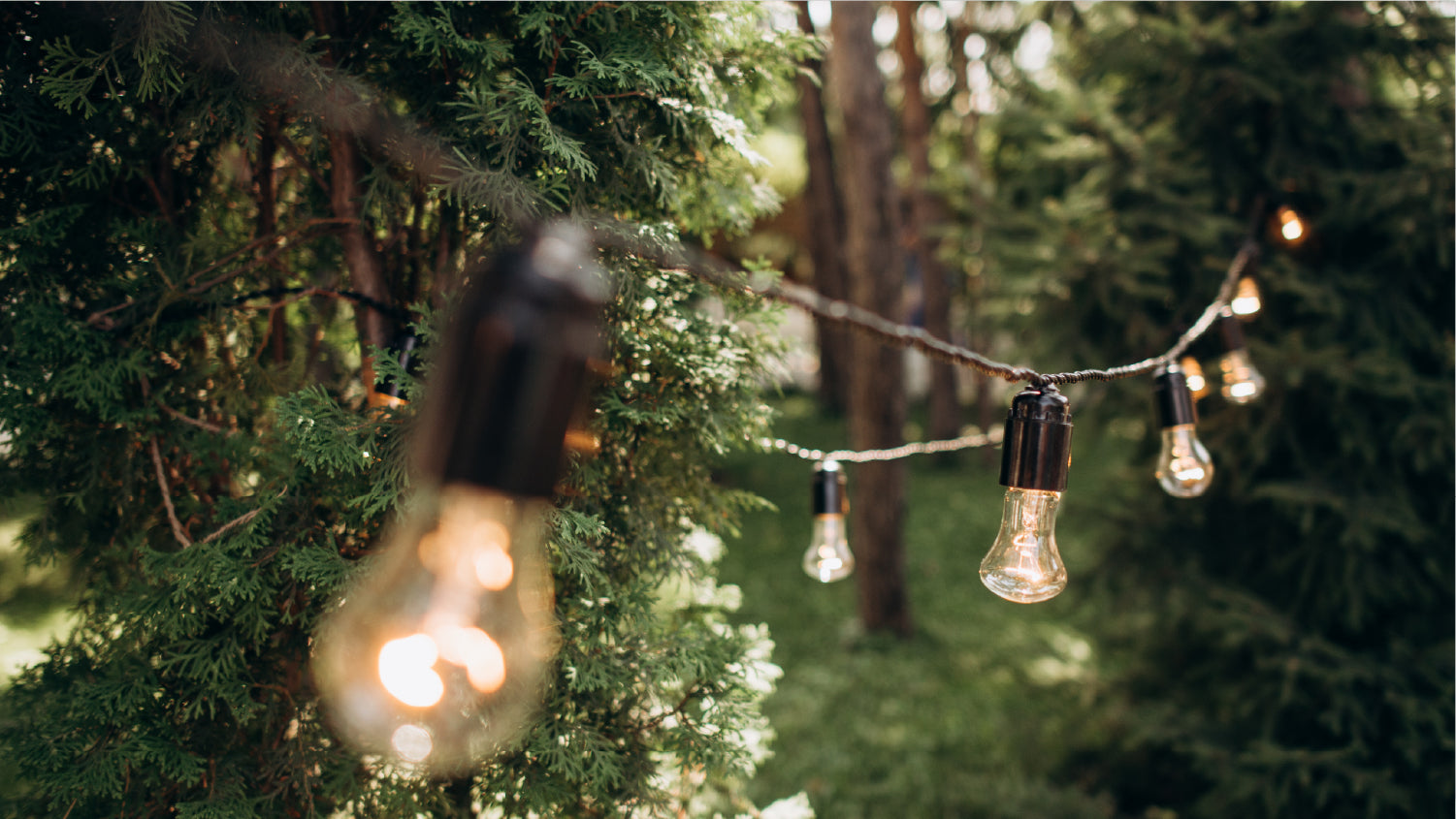 Party on after sunset